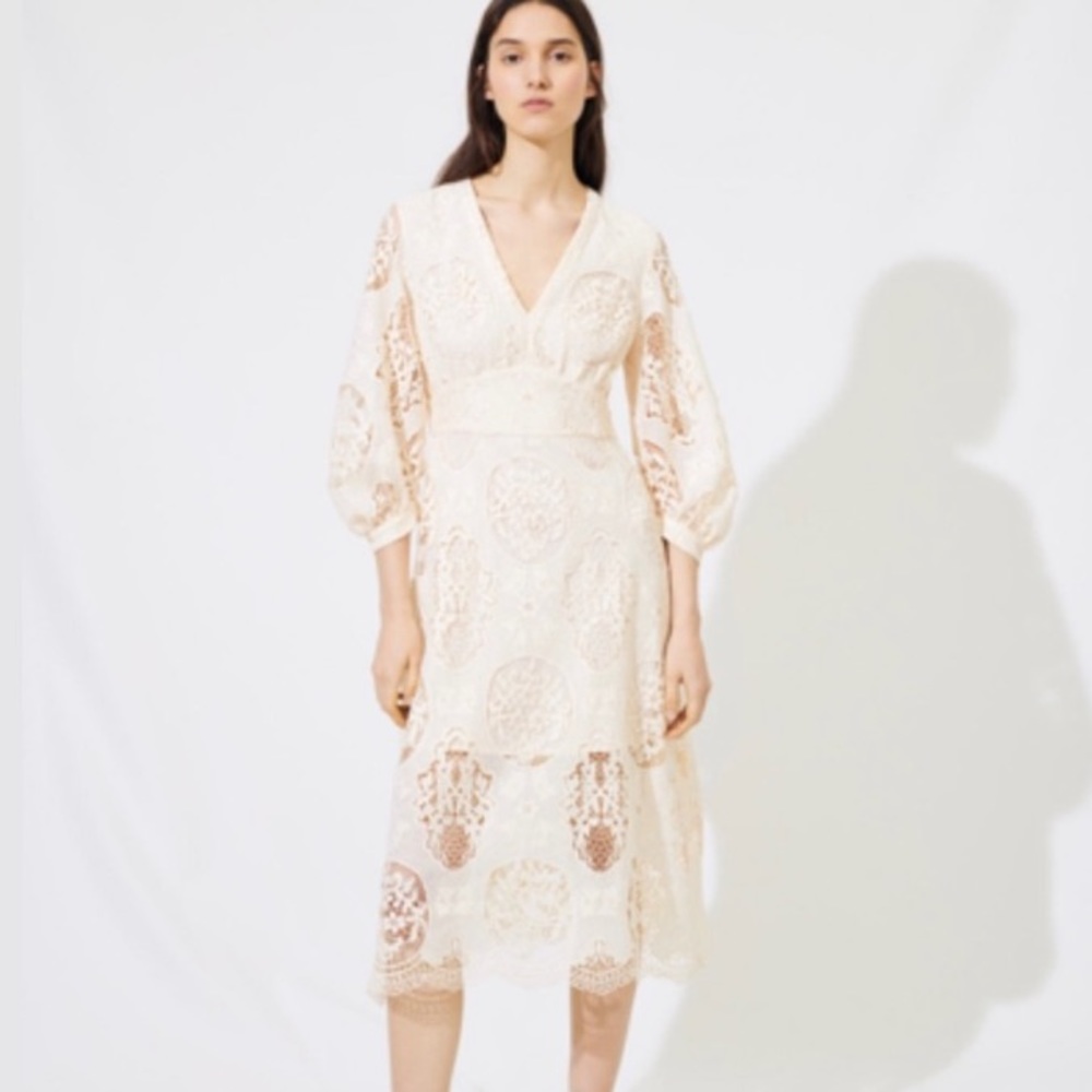 Brand New Cream/Nude Lace Midi Maje Dress